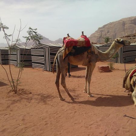 Rum Oasis Camp Wadi Rum Exterior foto