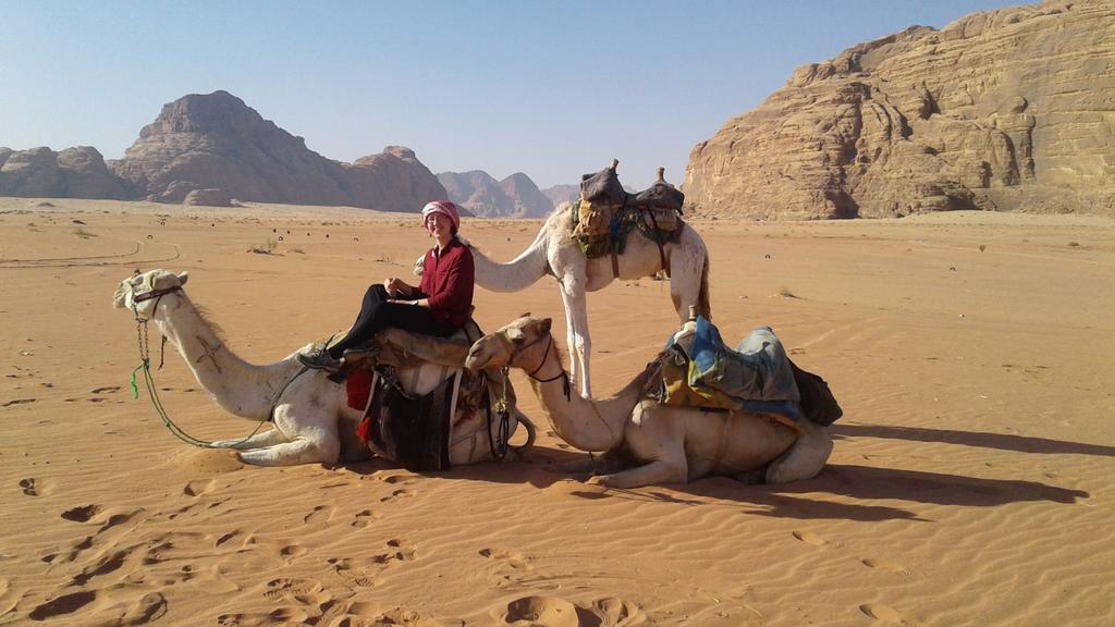 Rum Oasis Camp Wadi Rum Exterior foto