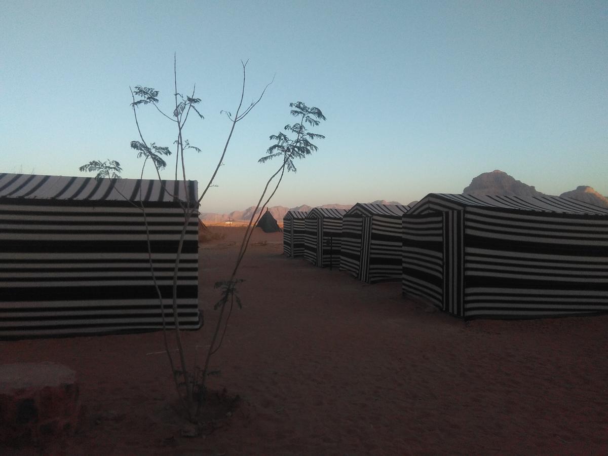 Rum Oasis Camp Wadi Rum Exterior foto