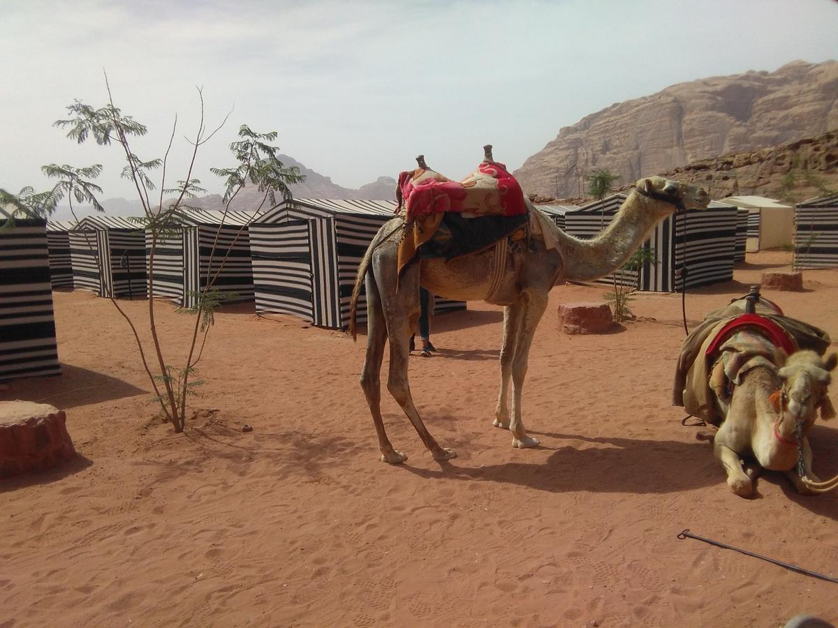 Rum Oasis Camp Wadi Rum Exterior foto