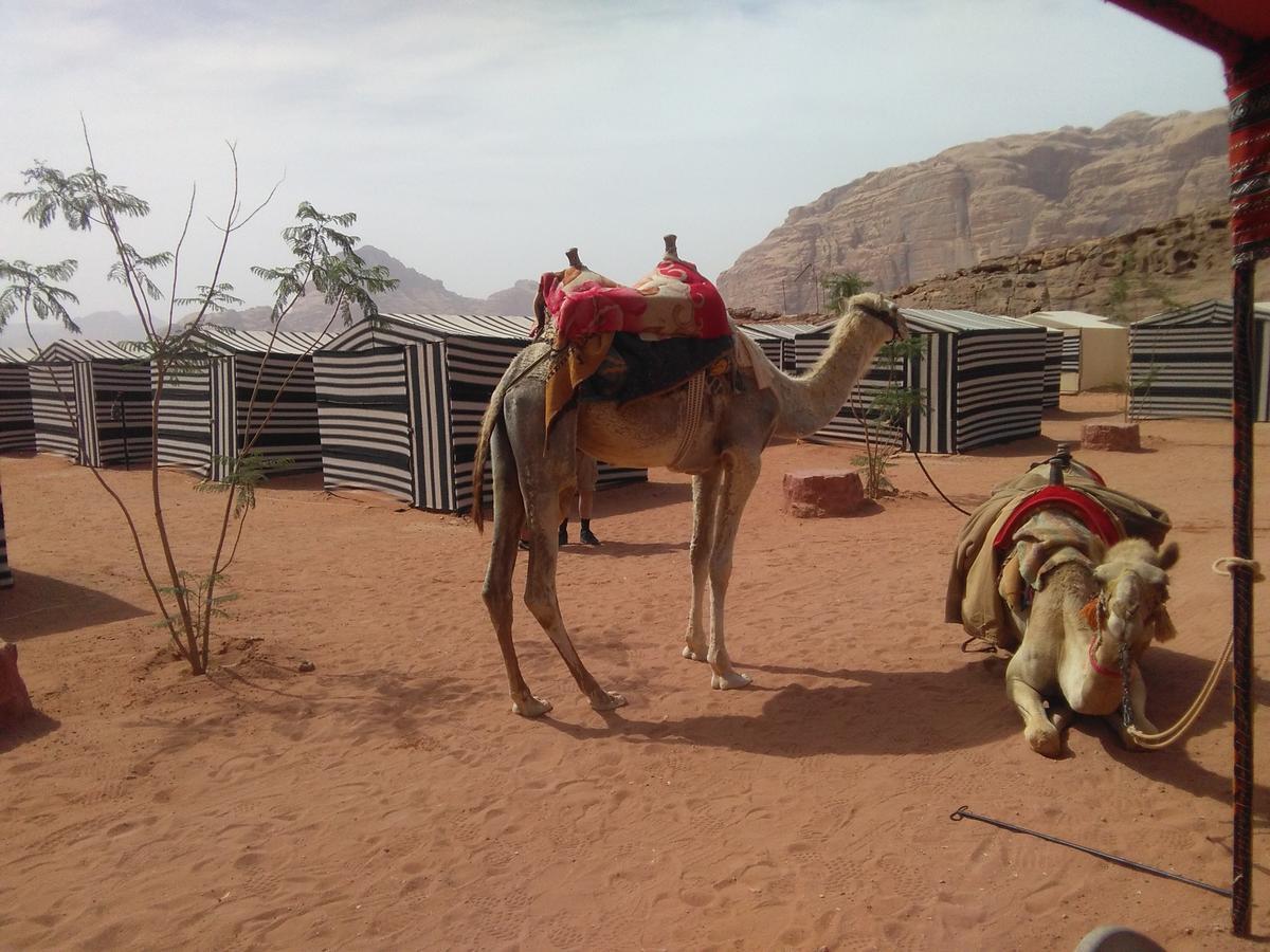 Rum Oasis Camp Wadi Rum Exterior foto